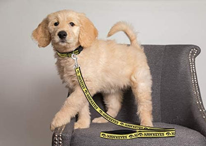 NCAA PET String, Medium, Iowa Hawkeyes, Dog String, Shiny & Colorful String for Dogs & Cats Licensed by The NCAA, Old Version