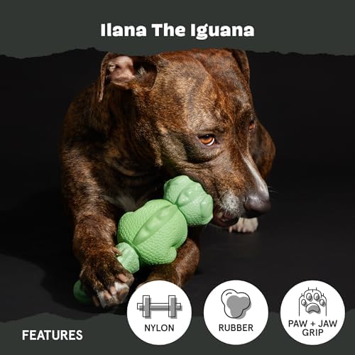 BarkBox Ilana the Iguana Super Chewer - Toy for Medium to Large Dogs