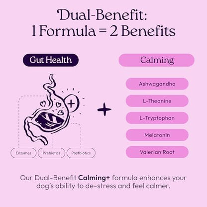 WellJoy Calming Dog Supplement + L-Theanine, Melatonin, GutBoost, 90ct