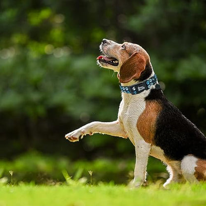 Dog Collar-Cute Footprint Adjustable Pet Collars Soft Comfortable Cotton Puppy Collar Durable Gift for Large Dogs
