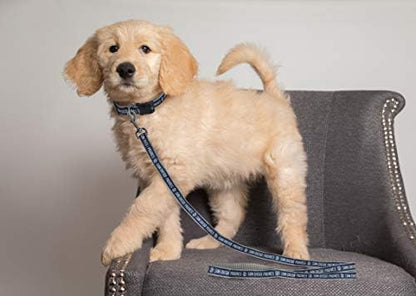 MLB PET Leash, Small, San Diego Padres Dog Leash, Baseball Team Leash for Dogs & Cats. A Shiny & Colorful Dog & Cat Leash with Emboridered Team Name/Logo Licensed by The MLB