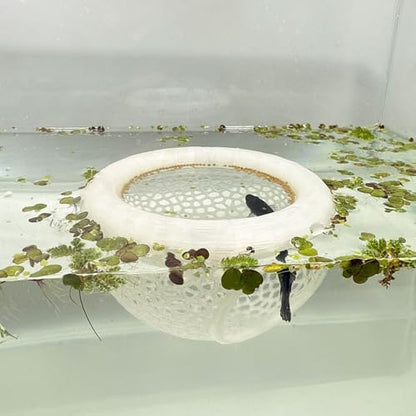 Aquarium Floating Betta Fish Skins, Betta or Shrimp Feeder, Cave and Hammock, Small Fish Feeding Rings, Aquarium Hiding Feeding Decorative Accessories (Translucent Color)