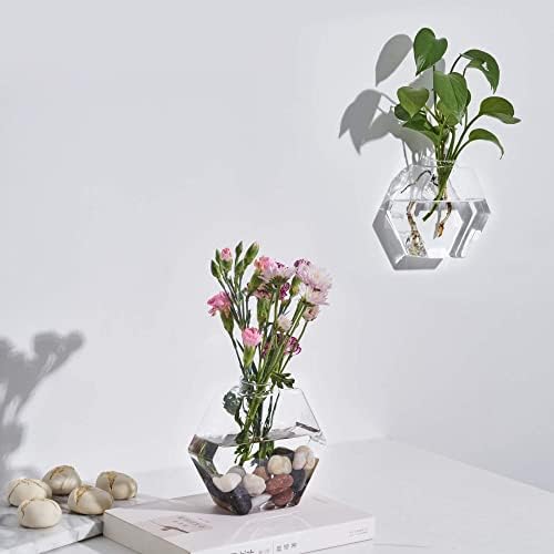 Glass Wall Planters 6PcsTerrarium Hanging Air Plant Holders Containers for Hydroponics Plants, Succulents, Herbs, Flowers (Hexagon)
