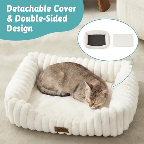 COZY KISS Orthopedic Pet Bed for Small Cats, 20"x18"x6", Cream
