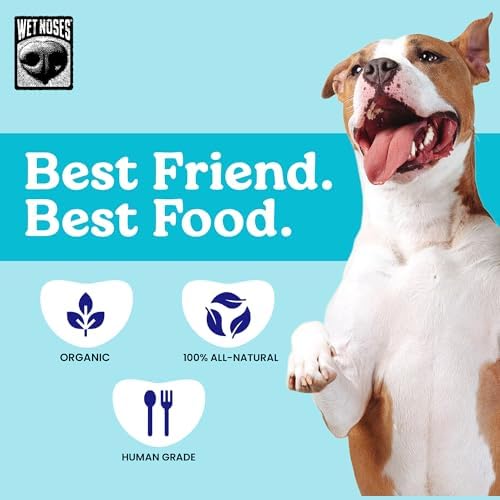 Wet Noses Organic Crunchy Dog Treats – All-Natural, Human-Grade, Non-GMO, Healthy Training & Delicious Snacks for Dogs, for All Dog Sizes & Breeds – Grain Free Peanut Butter & Molasses, 14oz (2 Pack)
