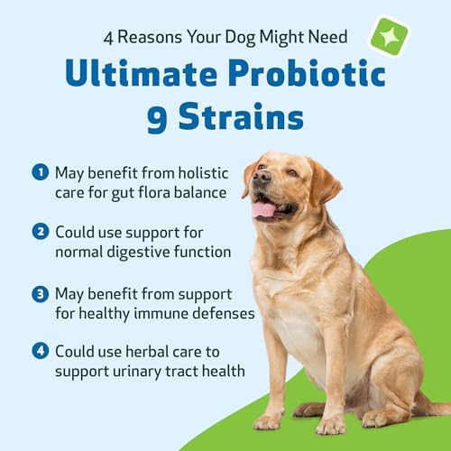 Pet Wellbeing Ultimate Probiotic 9 Strains for Dogs - Gut Health, 320 g