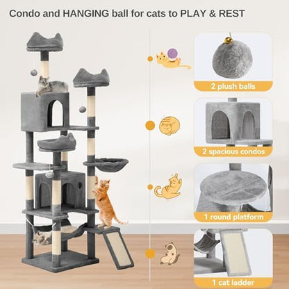 DWVO 75 in Multi‑Level Cat Tower