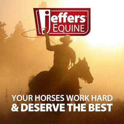 Jeffers Expression Protective Horse Boots, 1 Pair, Large - Safe Neoprene Leg Guards, Durable Strap Closures, Front & Hind Support, Equestrian Accessories for Travel & Riding - Emerald Green