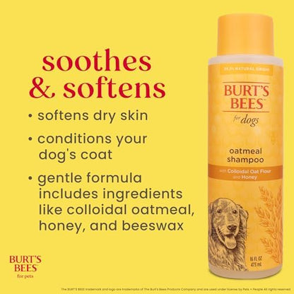 Burts Bees for Pets Oatmeal Dog Shampoo with Honey, 16 Fl Oz, 6-Pack