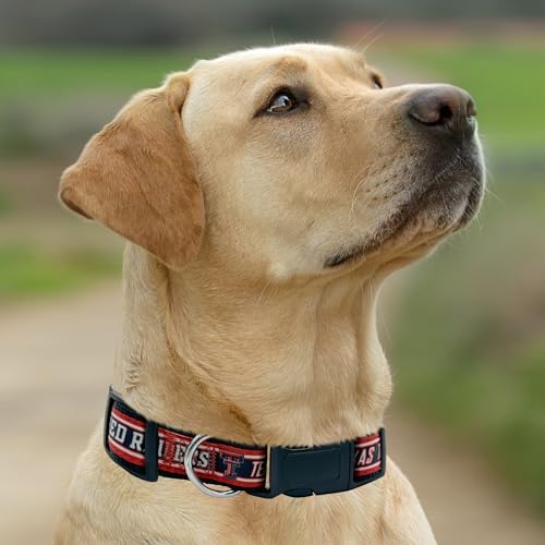 Pets First Collegiate PET Collar NEW VERSION Texas Tech Red Raiders Dog Collar, Size Small. Best Sports Team Color for Dogs & Cats. A Shiny & Colorful Dog & Cat Collar Licensed by The NCAA