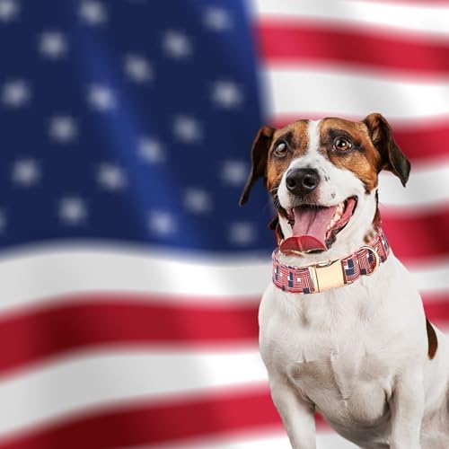 Independence Day Dog Collar, Summer Interwoven Flags Durable Metal Boy Dog Collars Adjustable Pet Collar for Small Medium Large Dogs