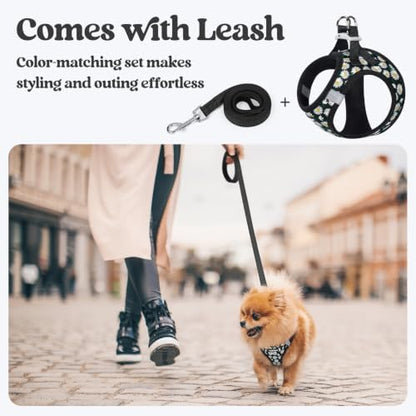 rabbitgoo Dog Harness Small Sized and Leash Set, Step-in Puppy Pet Vest