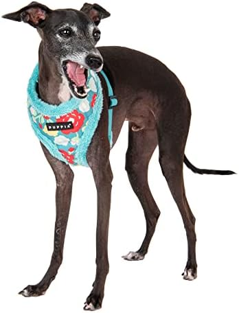 Puppia Alyssa Dog Harness Over-The-Head Warm Winter Flower Pattern Adjustable Chest for Small and Medium Dog, Aqua, Small