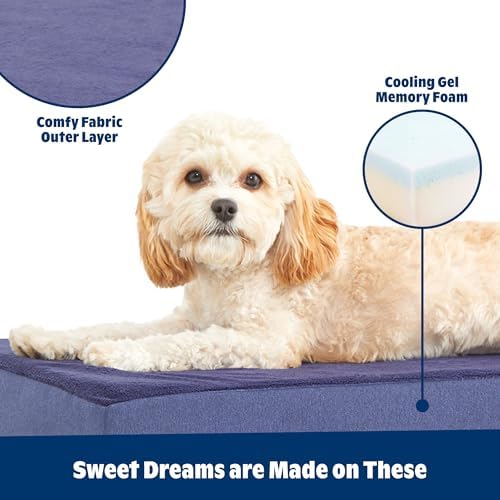 BarkBox Orthopedic Dog Bed - Medium