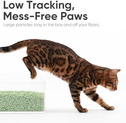 FUKUMARU Tofu Cat Litter, Green Tea Scented, Clumping, Odor Control, 12 lb