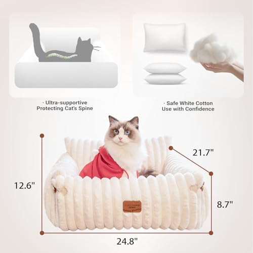 CHEERPALS Cat Couch Bed for Indoor Cats Fluffy Cat Sofa Recliner with Removable Washable Cover Cute Pet Lounge Suitable for Puppy Kitten (Off-White)