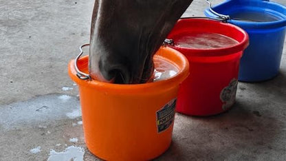 Hydration Mix- Horse Water Buffet Variety Samplers - No Sugar Added - Low Calorie Feed Topper & Treat (Winner's Circle Sampler 3 Pack Horse Water Buffet)