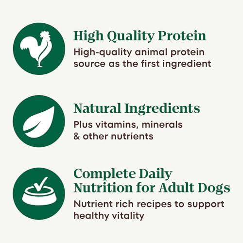 Nutro Hearty Stew Wet Dog Food, Meaty Lamb, 12.5 oz, 12 Pack