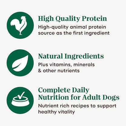 Nutro Natural Choice Premium Loaf Wet Dog Food, Lamb, 12.5 oz, 12 Pack