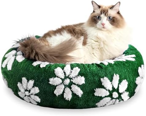 Round Cat Beds for Indoor Cats, Small Donut Dog Beds, Green, 20"