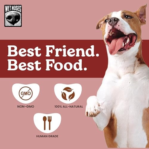 Wet Noses Organic Crunchy Dog Treats – All-Natural, Human-Grade, Non-GMO, Healthy Training & Delicious Snacks for Dogs, for All Dog Sizes & Breeds – Mesquite Bacon, 14oz (2 Pack)