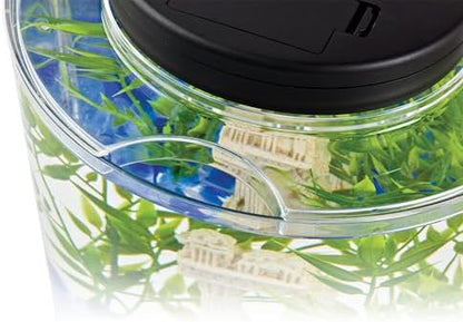 Tetra LED Half Moon 1.1 Gallon Fish Tank Kit for Betta Fish