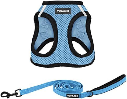Best Pet Supplies Voyager Step-in Air All Weather Mesh Harness and Reflective Dog 5ft Leash Combo with Neoprene Handle, for Small, Medium and Large Breed Puppies - Baby Blue/Black Trim, Small