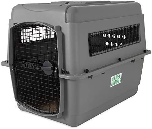 Petmate Sky Kennel for Pets 50-70 lbs (36 Inches) with Large Kennel Bowl Bundle - Airline Approved Travel Crate with External Refill Bowl
