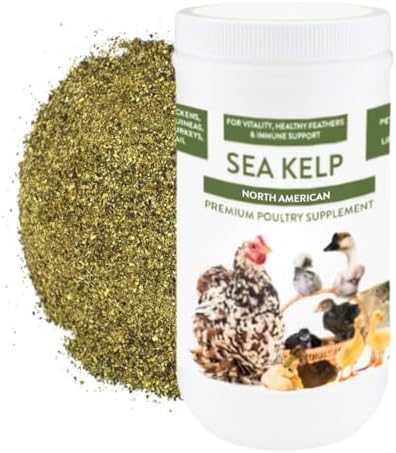 Kelp for Chickens & Duck Feed (1 Pound): Chicken Vitamins | Chicken Supplements | Vitamins for Chickens | Pampered Chicken Mama