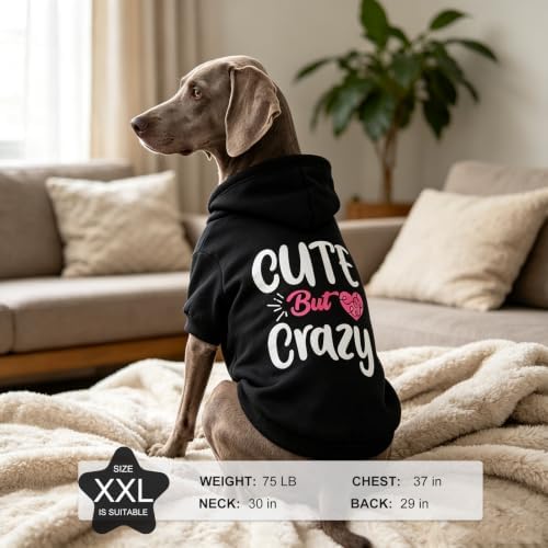 EXPAWLORER Dog Hoodies for Small Medium Large Dogs,Cute But Crazy Black L