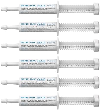 PetAg Bene-Bac Plus Pet Gel - 15 g Syringe, Pack of 6 - FOS & Probiotics for Dogs, Cats, Exotic & Wildlife Mammals