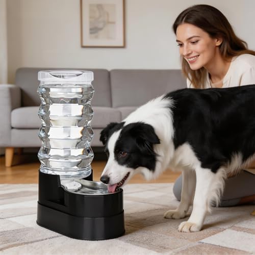 RIZZARI 9L Elevated Dog Water Dispenser: Filtered Gravity Waterer