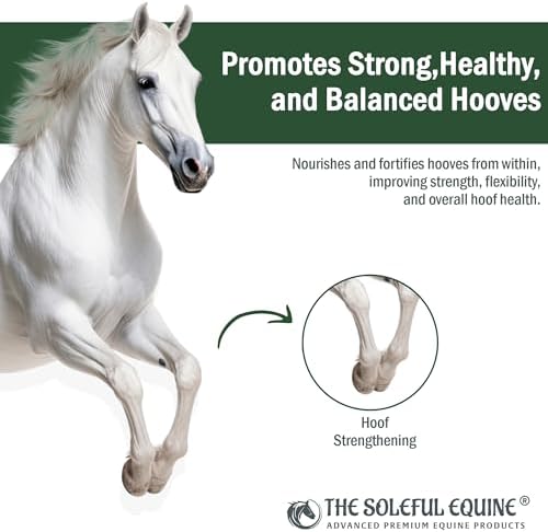 Hoof Oil, Horse Hoof White Line, Thrush, Abscesses, Overall Hoof Strength, Growth, Hoof Conditioning Rehydration. Certified Organic - Professionally Designed and Developed