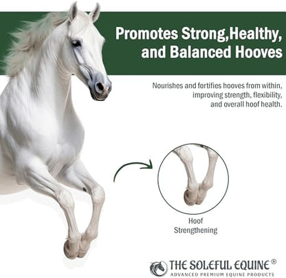 Hoof Oil, Horse Hoof White Line, Thrush, Abscesses, Overall Hoof Strength, Growth, Hoof Conditioning Rehydration. Certified Organic - Professionally Designed and Developed