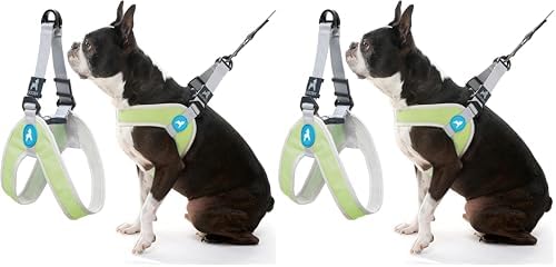 Gooby Simple Step in III Harness - Green, X-Small - Small Dog Harness with Scratch Resistant Outer Vest - Soft Inner Mesh Harness for Small, Medium Dogs (Pack of 2)