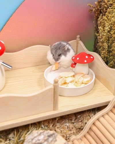 Niteangel Hamster Snack & Treats Toy - Freeze-Dried Carrots No Additive