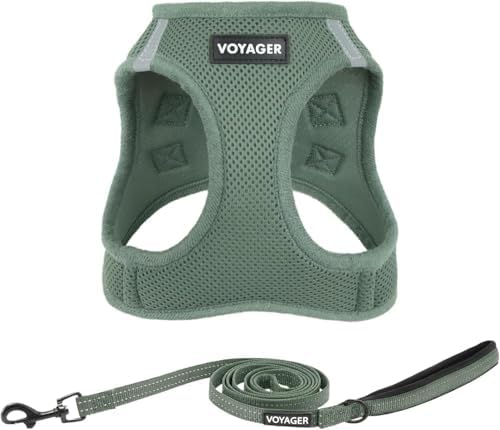 Best Pet Supplies Voyager Step-in Air All Weather Mesh Harness and Reflective Dog 5ft Leash Combo with Neoprene Handle, for Small, Medium and Large Breed Puppies - Moss Green, Large
