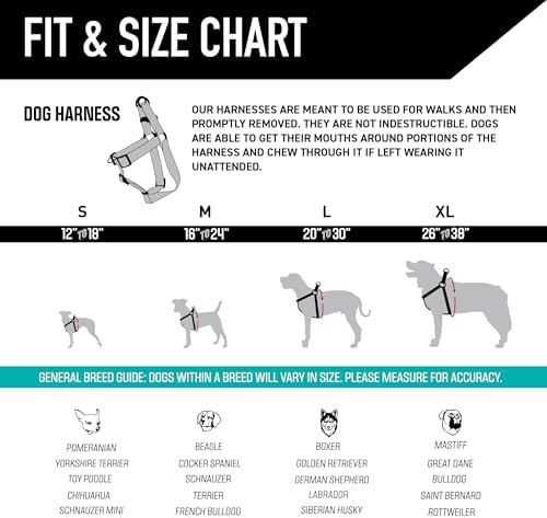 Wolfgang Heavy Duty Adjustable Dog Harness, Pull-Tested to Over 800 lbs for Walking & Training, Quetzal Print, Medium