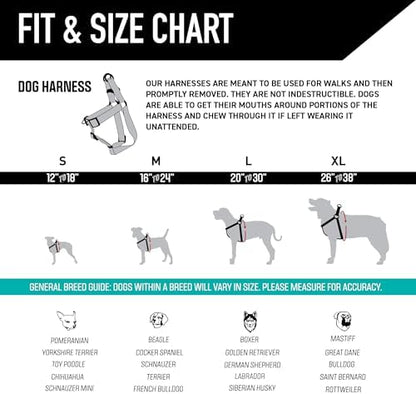 Wolfgang Heavy Duty Adjustable Dog Harness, Pull-Tested to Over 800 lbs for Walking & Training, Quetzal Print, Medium