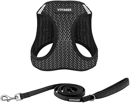 Best Pet Supplies Voyager Step-in Air All Weather Mesh Harness and Reflective Dog 5ft Leash Combo with Neoprene Handle, for Small, Medium and Large Breed Puppies - Gray 2-Tone, Large