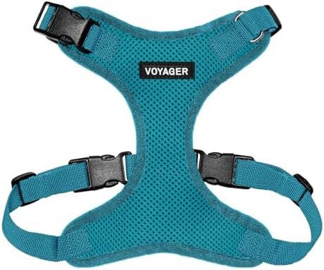 Voyager Step-in Lock Dog Harness - Turquoise, Medium