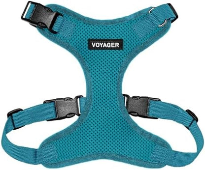 Voyager Step-in Lock Dog Harness - Turquoise, Large