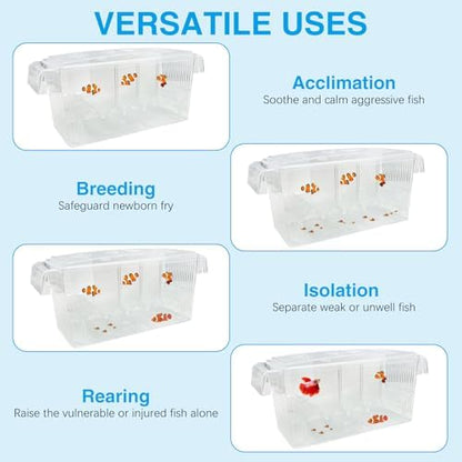 Tfwadmx Fish Breeding Box 4 Rooms HD Aquarium Breeder with Suction Cups