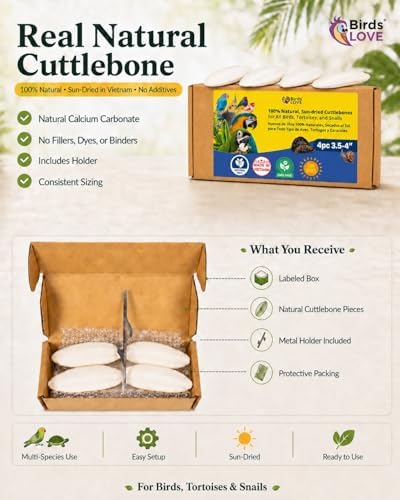 Birds LOVE 3.5-4″ Cuttlebone for Birds – 100% Natural Sun-Dried Calcium & Beak Conditioning Supplement for Parakeets, Budgies, Cockatiels, Finches & Canaries – 4 Pack with Holder – Made in Vietnam