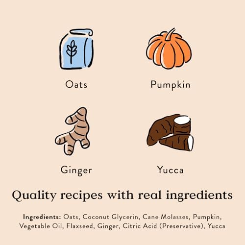 Bocce's Bakery Digestive Support Soft Chewy Dog Treats, Pumpkin Ginger, 6oz