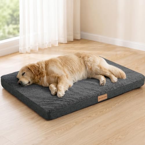 Patas Lague Orthopedic Medium Dog Bed Pet Sofa Mat 30''X20'' Dark Grey