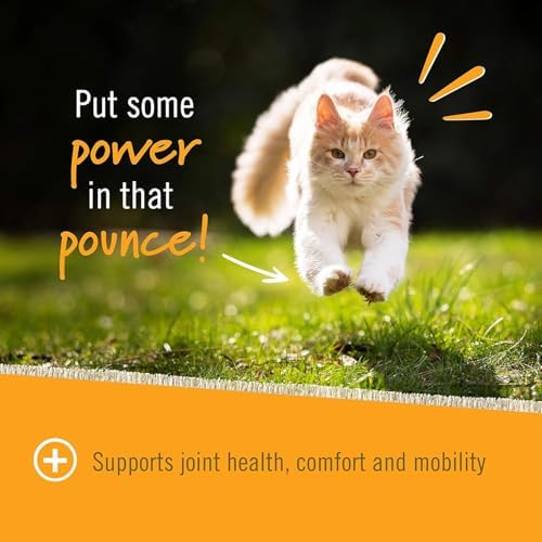 Pet Naturals Hip and Joint Supplement with Glucosamine, Green-Lipped Mussel, and Chondroitin for Cats, Duck Flavor, 30 Chews