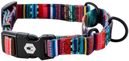 Wolfgang Heavy Duty Martingale Dog Collar with Quick Release Nylon Buckle for Walking & Training, Quetzal Print, Medium