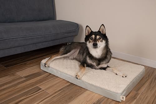 Best Pet Supplies Soft Plush Cute Indoor Dog Bed for Small, Medium, and Large Breeds - Beige, 35x22x4