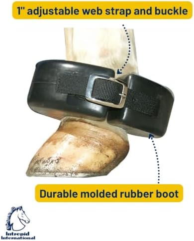 Intrepid International Shoe Boil Boot - Single
